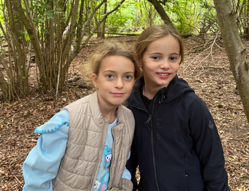 Year 3 & 4 Foresters
