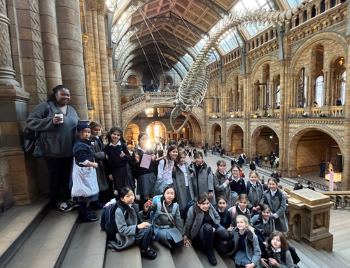 Year 4 trip to the Natural History Museum