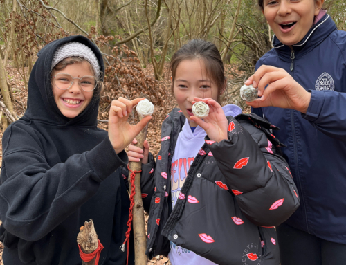 Years 5 and 6 Forest School
