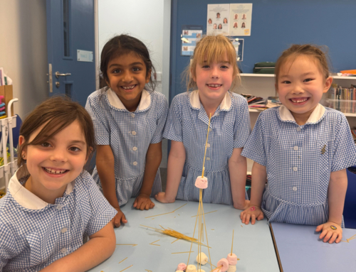 TIPS Week: Year 2 Tower Building