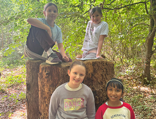 Year 3 & 4 Foresters