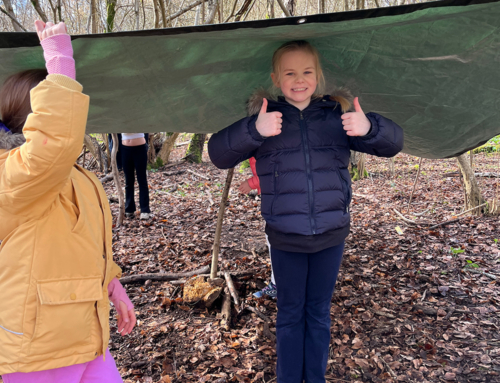 Years 3 and 4 Foresters