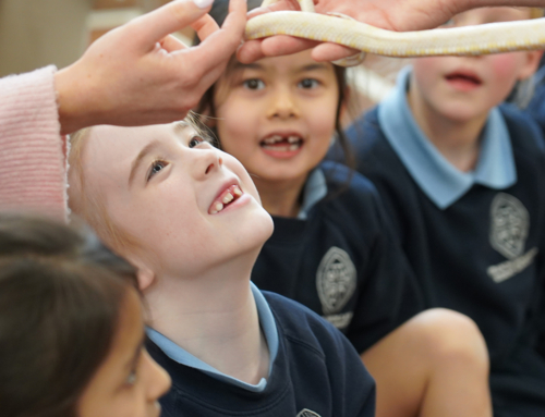 Zoolabs Visit: A Hands-On Lesson in Adaptation