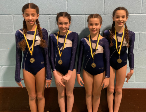 Floor and Vault Competition