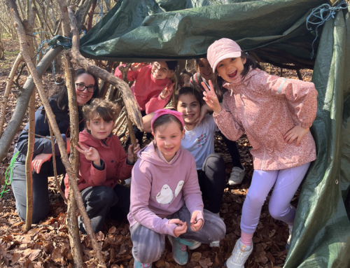 Year 3 and 4 Foresters