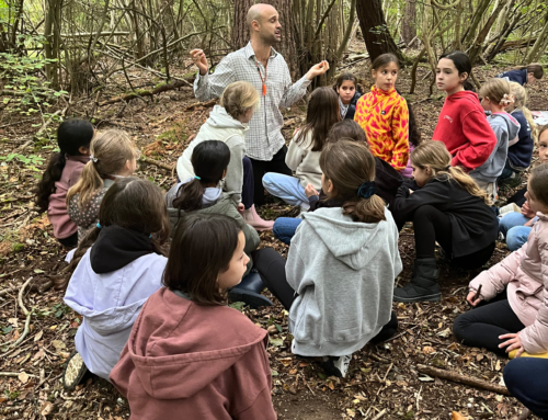 Year 5 & 6 Foresters