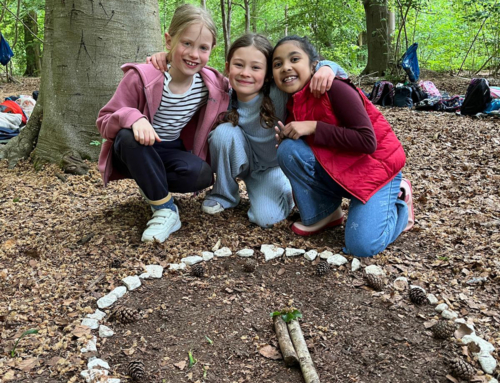 Year 3 & 4 Foresters