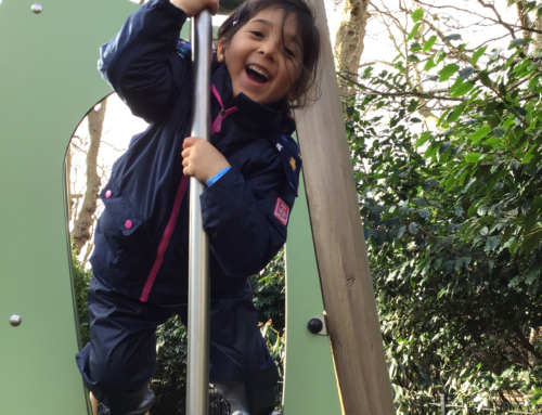 Reception Forest School