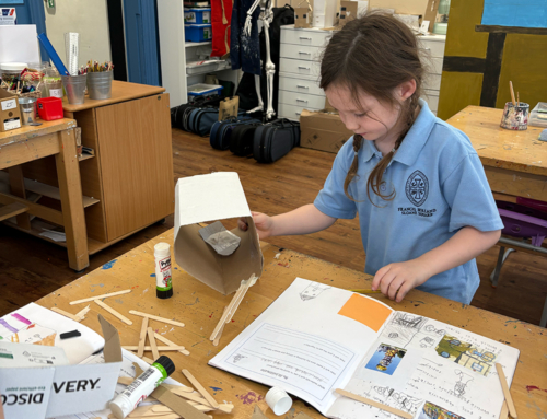 TIPS Week: Year 2 Architecture Lesson