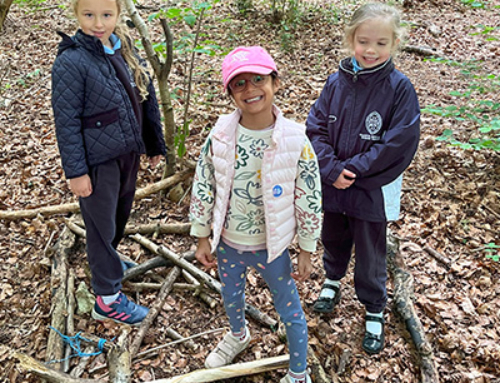 Year 1 & 2 Foresters