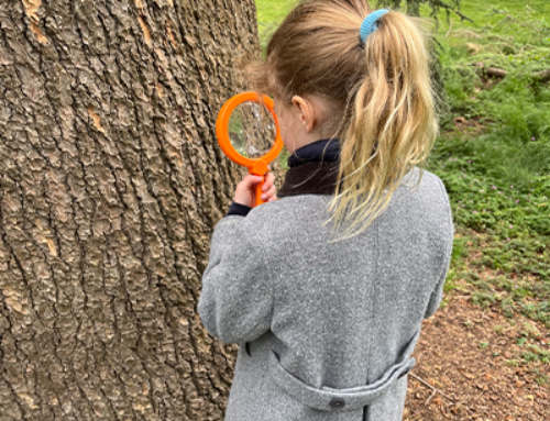 Year 2 Visit to Kew Gardens