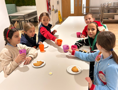 Festive Early Morning Netball
