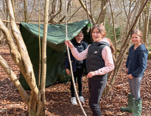Year 5 & 6 Discovering Nature at Forest School