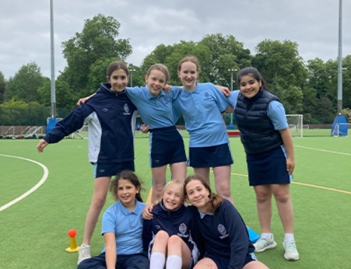 Under 11 Cricket News