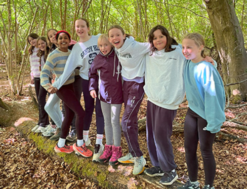 Year 5 & 6 Foresters