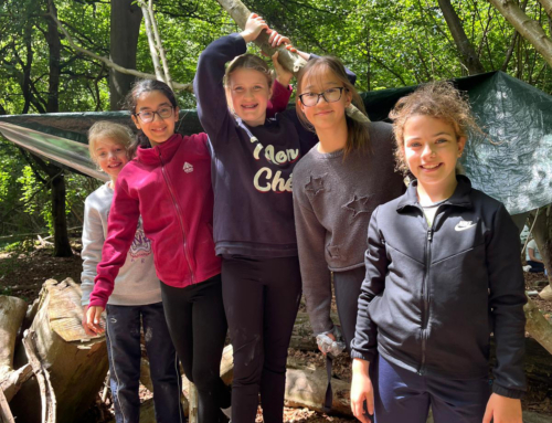 Year 5 and 6 Forest School