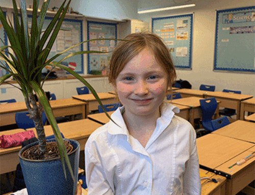 Introducing Our Class Plants