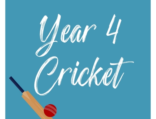 Year 4 Cricket