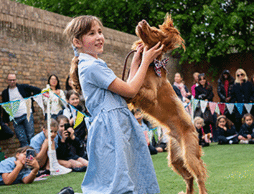 Charity Dog Show