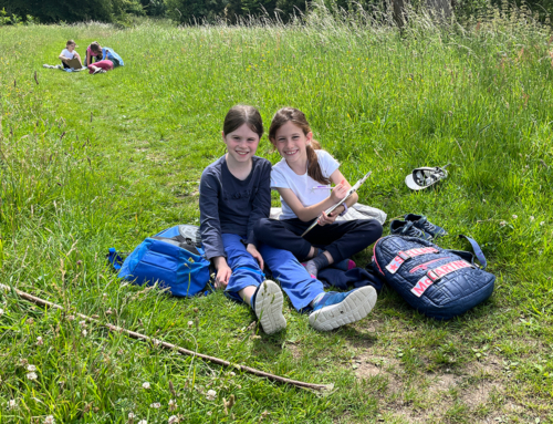 Year 3 and 4 Forest School