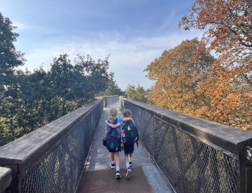 Year 4 Explore Tropical Rainforest Habitats at Kew Gardens
