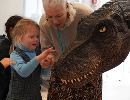 Reception Dino Visit