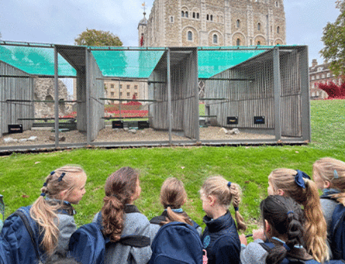 Year 2’s trip to the Tower of London