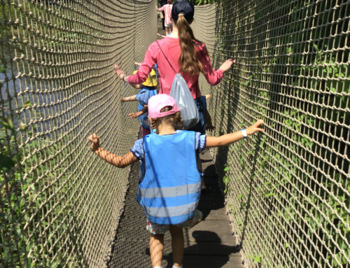 Reception trip to the WWT London Wetland Centre