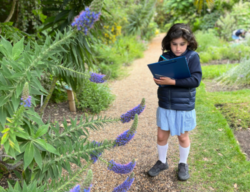 Year 3 visit to the Royal Hospital Chelsea and the Chelsea Physic Garden