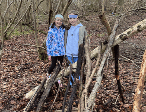 Year 5 & 6 Foresters