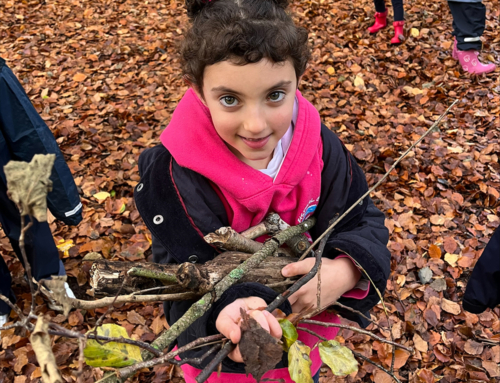 Year 1 and 2 Foresters