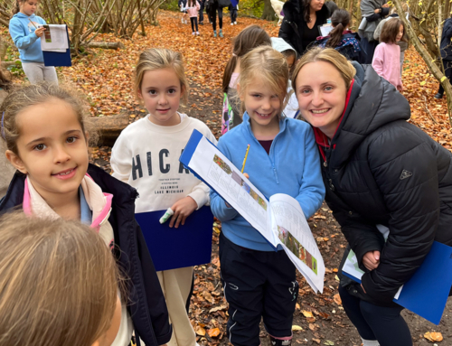 Year 3 and 4 Foresters