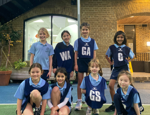 Year 3 Netball News