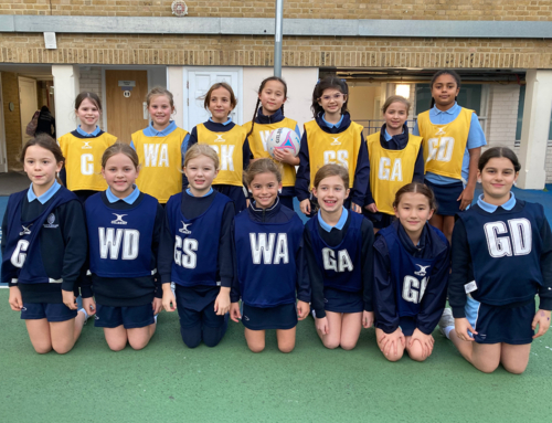 Year 4 Netball News