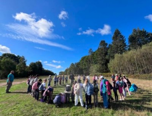 Year 5 Camping Trip