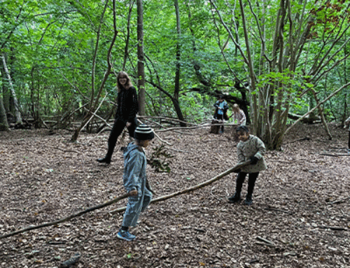 Year 1 & 2 Foresters