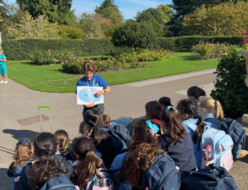 Year 4 Trip to Kew Gardens